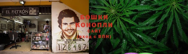 сатива Киренск