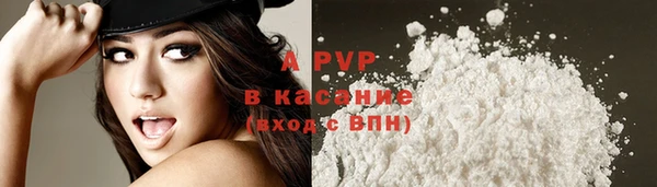 сатива Киренск