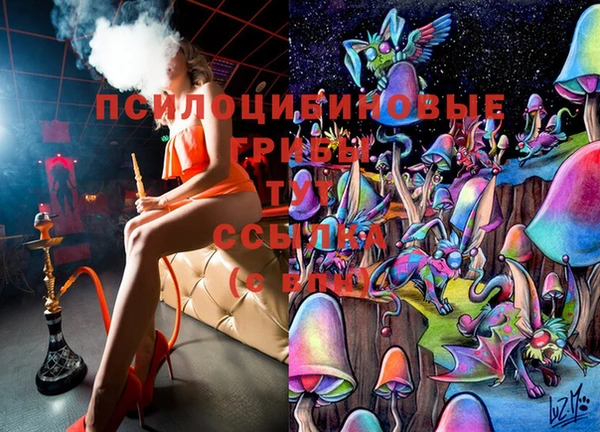 сатива Киренск